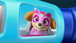 Skye Meets the Mighty Twins and MORE, PAW Patrol