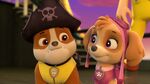 PAW.Patrol.S01E26.Pups.and.the.Pirate.Treasure.720p.WEBRip.x264.AAC 1288454