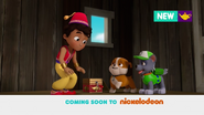 PAW Patrol Nickelodeon Pups Find a Genie Rubble Rocky