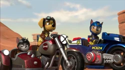 Sneezy Chase | PAW Patrol Wiki | Fandom