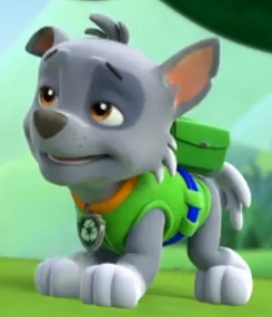 rocky hat paw patrol