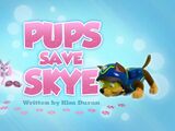 Pups Save Skye