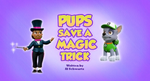 Pups Save a Magic Trick (HQ)