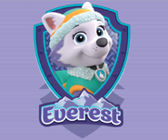 Everest badge