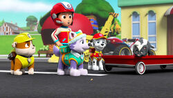 Pups Get Skunked, PAW Patrol Wiki