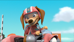 Liberty se una a los cachorros #PawPatrol, ¡Liberty se une a los  #PawPatrol! La nueva perrita querrá salvar el día en Bahía Aventura a como  de lugar. 🐶🐶🐶