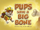 Pups Save a Big Bone