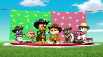 paw patrol cowboy
