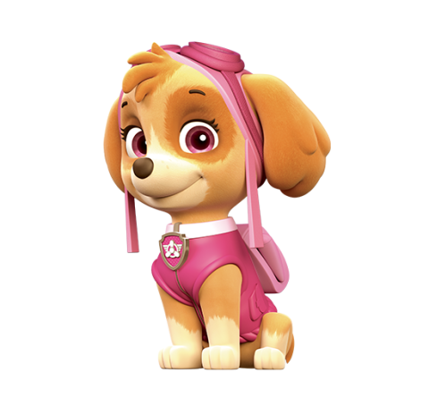 Paw Patrol Dog Rescue Skye Tools Pink Safety Protector Fly 