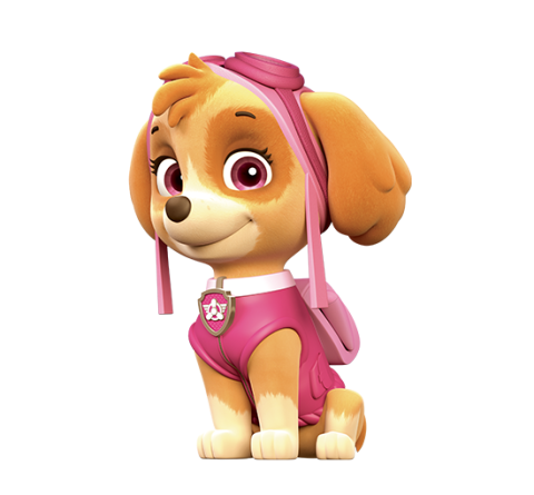 skye pup paw patrol