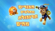 "Pups Save a Chicken of the Sea" ("הגורים מחלצים תרנגולת מהים") title card on Nick Jr.
