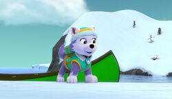 Everest/Gallery/Pups a Teeny Penguin | PAW Patrol Wiki |