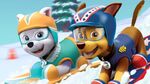 Paw-patrol-video-app 51753-96914 1EverestandChase