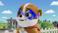Apollo the Super-Pup costume + collar (as of Season 11)
