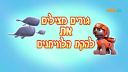 "Pups Save the Whale Pod" ("גורים מצילים את להקת הלוויתנים") title card on Nick Jr.