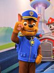 Chase-Paw-Patrol