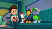 PAW.Patrol.S02E07.The.New.Pup.720p.WEBRip.x264.AAC 209342