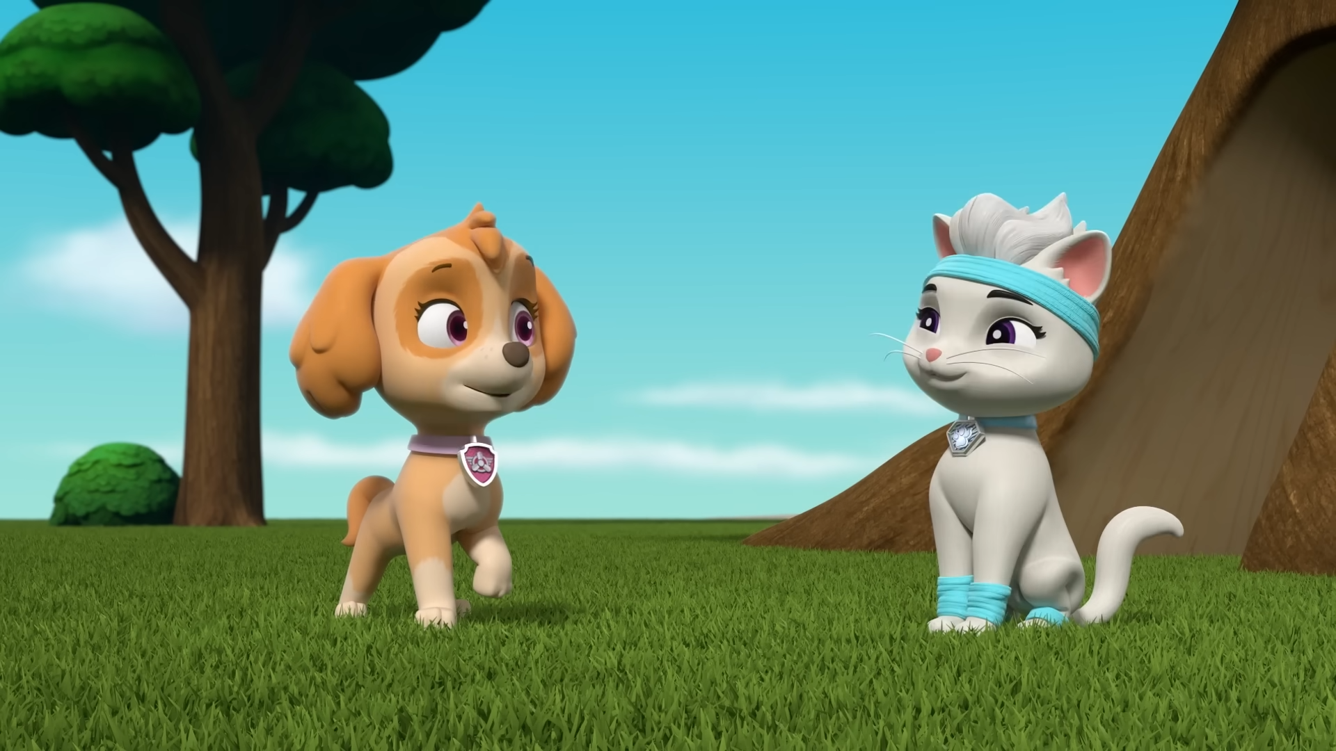https://static.wikia.nocookie.net/paw-patrol/images/a/a1/Skye_and_Rory_Flip_it_%281%29.png/revision/latest?cb=20221023081722