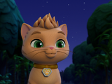 Leo (Cat Pack)/Trivia