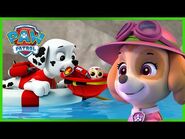 Over 1 Hour of Skye and Marshall Rescues ☁️🔥- PAW Patrol - Cartoons for Kids Compilation