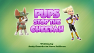 Pups Stop the Cheetah (HQ)