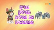 "Pups Save the Hiding Elephants" ("גורים מצילים את הפילים המתחבאים") title card on Nick Jr.