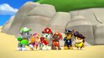 PAW.Patrol.S01E26.Pups.and.the.Pirate.Treasure.720p.WEBRip.x264.AAC 642742