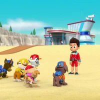 paw patrol sea patrol sky
