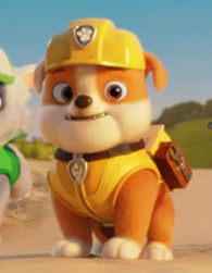 Rubble PAW Patrol Wiki Fandom