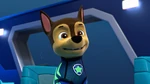 Aqua Pups wetsuit without helmet