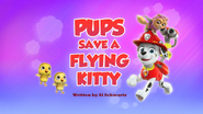 Pups Save a Flying Kitty (HQ)