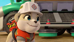 Paw patrol crane new arrivals