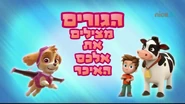 מפרץ ההרפתקאות הגורים מצילים את אלכס האיכר.png (462 KB) "Pups Save Farmer Alex" ("הגורים מצילים את אלכס האיכר") title card on Nick Jr.