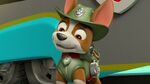 Paw.Patrol.S03E25.Tracker.Joins.the.Pups.720p.WEB-DL.AAC2.0.H264-BTN 591925