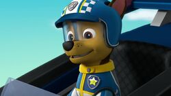 Pat patrouille chase sa voiture de course ready race paw patrol 20119526