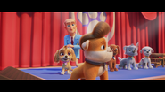 Collar only with Marty Muckraker's wig (PAW Patrol: The Movie)