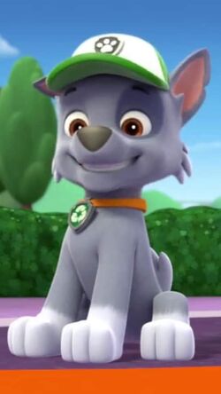 Rocky, Wiki Paw Patrol Spanish