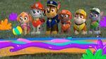 Nick jr paw patrol summer bumper