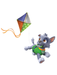 Rocky with Kite PNG