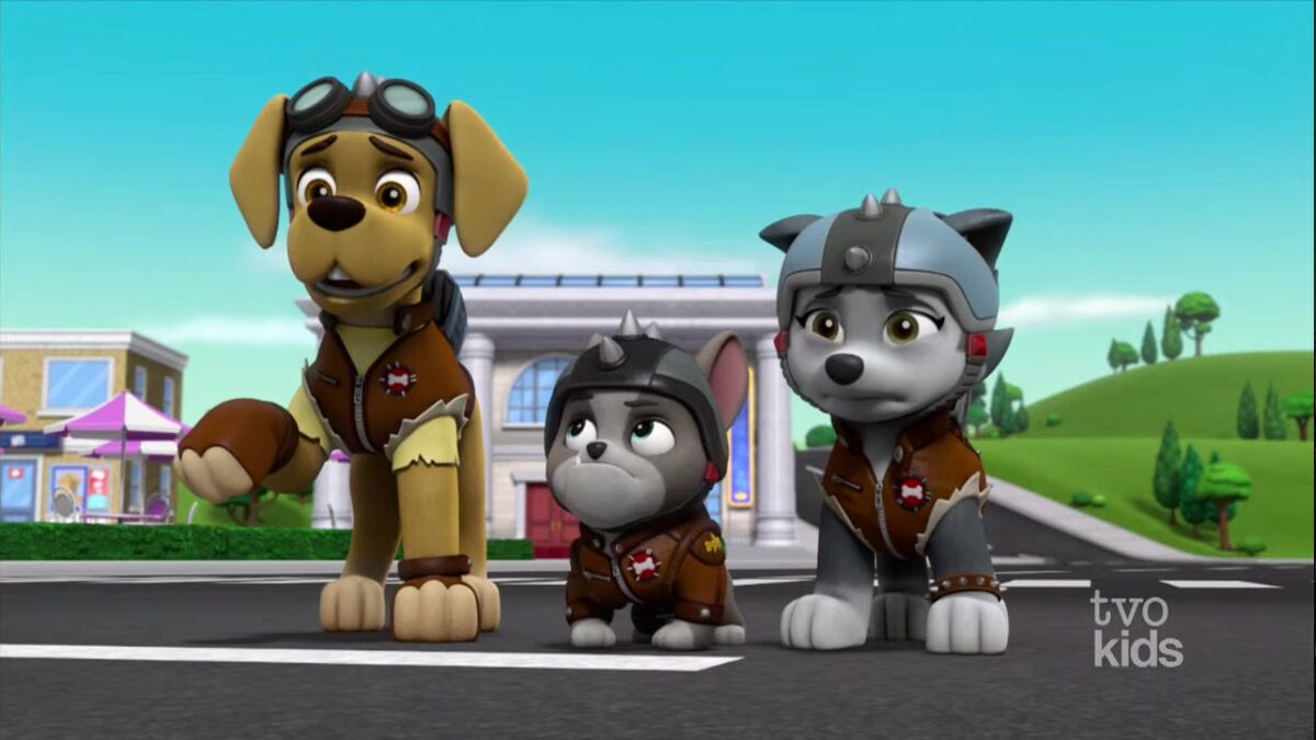 Zuma/Trivia, PAW Patrol Wiki