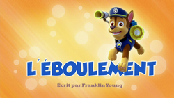 Paw Patrol, la Pat'Patrouille : Des ours dans la ville / Madame