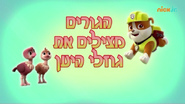 "Pups Save the Baby Ostriches" ("הגורים מצילים את גוזלי היען") title card on Nick Jr.