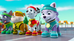 PAW Patrol Pups Save Sports Day Scene 26