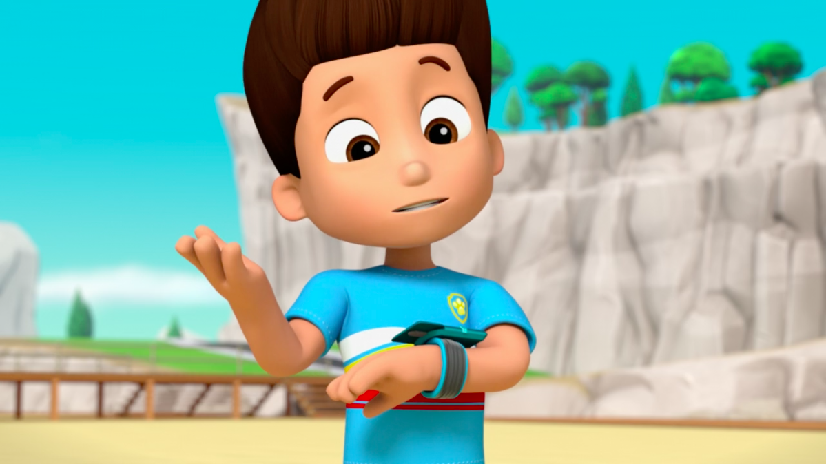 Paw patrol sea patrol ryder sale