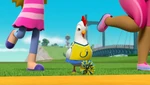 Chickaletta as a member of the team's cheer squad after Danny takes over as team mascot in "Pups Save a Mascot"