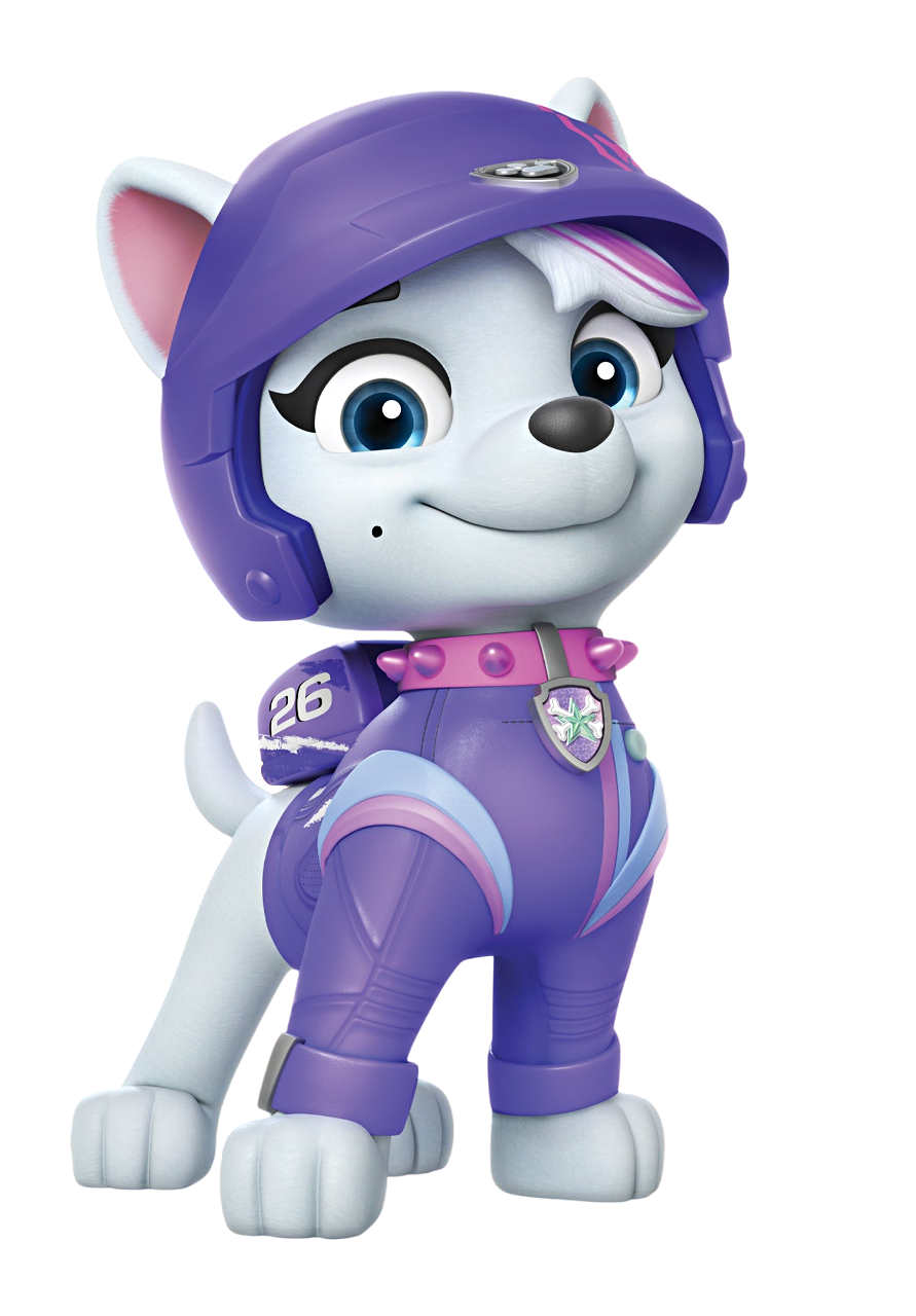 Trucker paw patrol sale