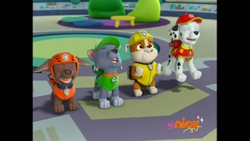 Rocky/Gallery, PAW Patrol Wiki, FANDOM powered by Wikia