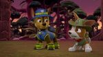 Paw.Patrol.S03E25.Tracker.Joins.the.Pups.720p.WEB-DL.AAC2.0.H264-BTN 790999