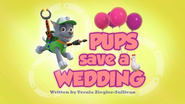 Pups Save a Wedding (HD)