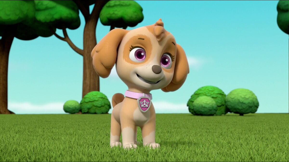 Skye Gallery Pups And Katie Stop The Barking Kitty Crew Paw Patrol Wiki Fandom